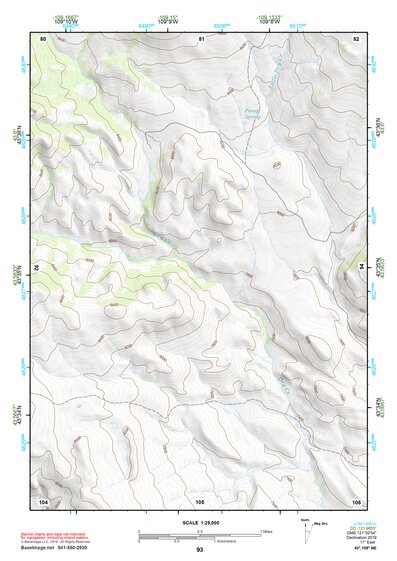 43109NE Page 93 The Ramshorn Topo Preview 1