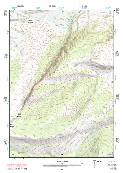 43109SE Page 79 Gannett Peak Topo Preview 1