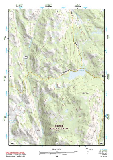 43109SW Page 89 Gannett Peak Topo Preview 1