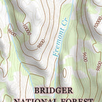 43109SW Page 92 Gannett Peak Topo Preview 3