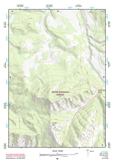43110NE Page 65 Jackson Lake Topo Preview 1