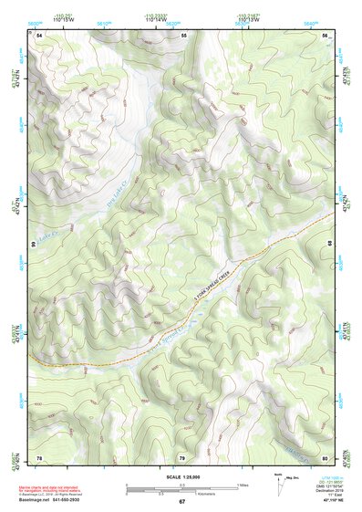 43110NE Page 67 Jackson Lake Topo Preview 1