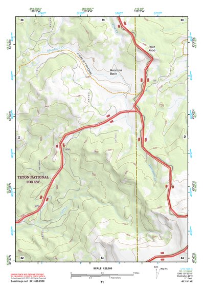 43110NE Page 71 Jackson Lake Topo Preview 1