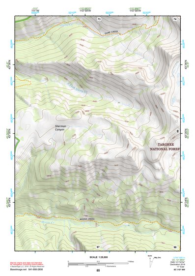 43110NW Page 85 Jackson Lake Topo Preview 1
