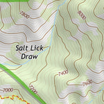 43110SW Page 8 Jackson Topo Preview 3