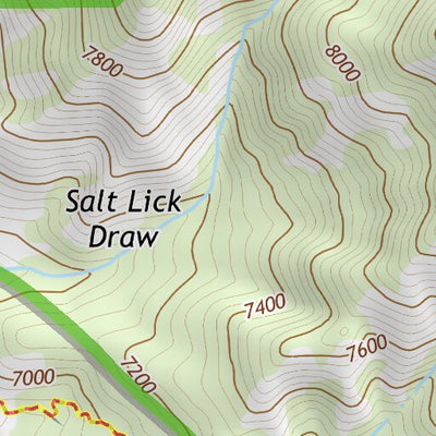 43110SW Page 8 Jackson Topo Preview 3
