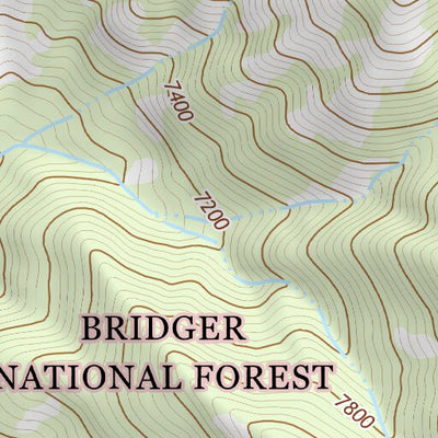 43110SW Page 67 Jackson Topo Preview 3