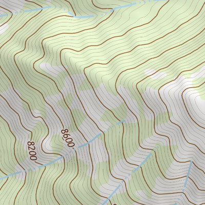 43110SW Page 82 Jackson Topo Preview 3