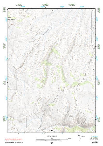 43111NE Page 37 Rexburg Topo Preview 1