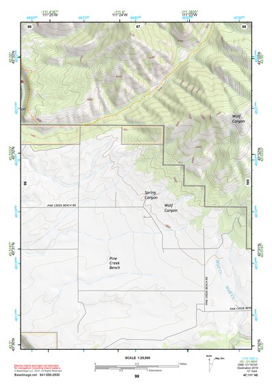 43111NE Page 99 Rexburg Topo Preview 1