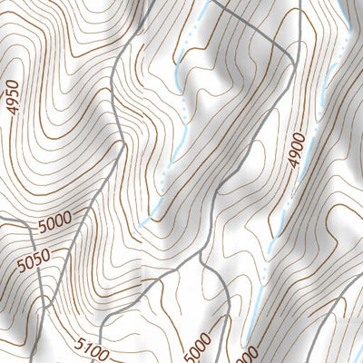 43111SW Page 25 Palisades Topo Preview 3