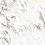 43112SW Page 43 Blackfoot Topo Preview 3