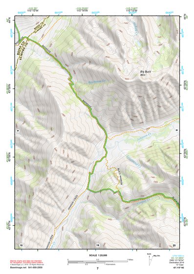 43115NE Page 7 Idaho City Topo Preview 1