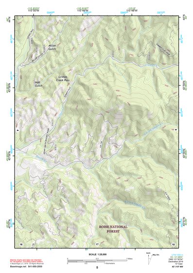 43115NW Page 5 Idaho City Topo Preview 1