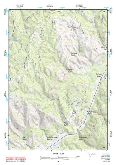 43115NW Page 39 Idaho City Topo Preview 1