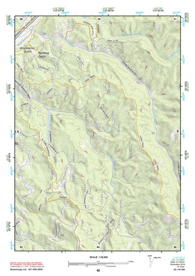 43115NW Page 42 Idaho City Topo Preview 1