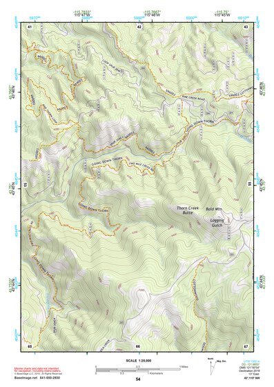 43115NW Page 54 Idaho City Topo Preview 1