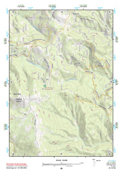 43115NW Page 55 Idaho City Topo Preview 1