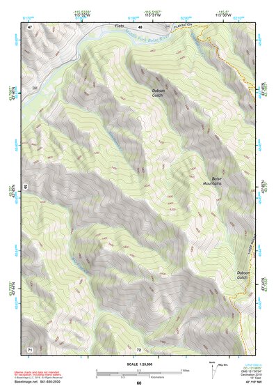 43115NW Page 60 Idaho City Topo Preview 1