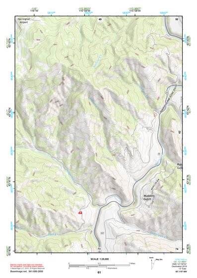 43115NW Page 61 Idaho City Topo Preview 1