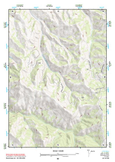 43115NW Page 63 Idaho City Topo Preview 1