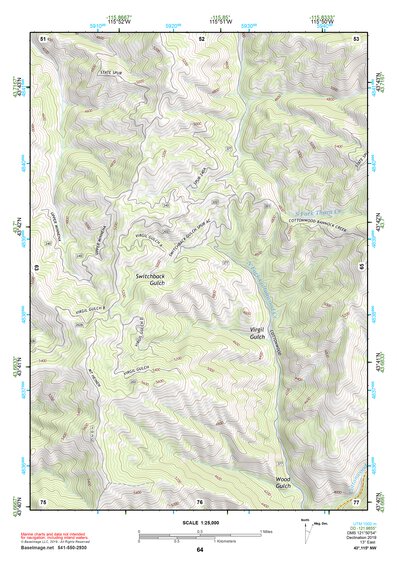 43115NW Page 64 Idaho City Topo Preview 1