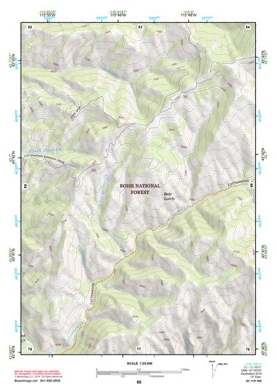 43115NW Page 65 Idaho City Topo Preview 1