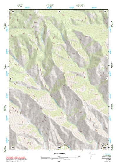 43115NW Page 67 Idaho City Topo Preview 1