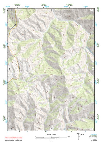 43115NW Page 81 Idaho City Topo Preview 1