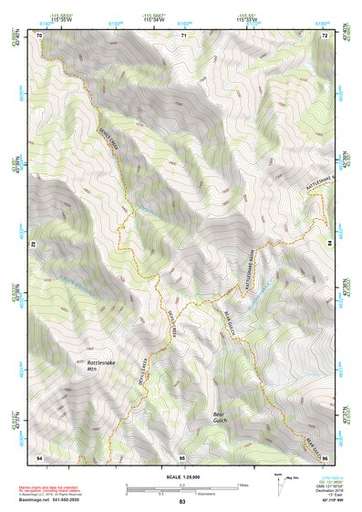 43115NW Page 83 Idaho City Topo Preview 1