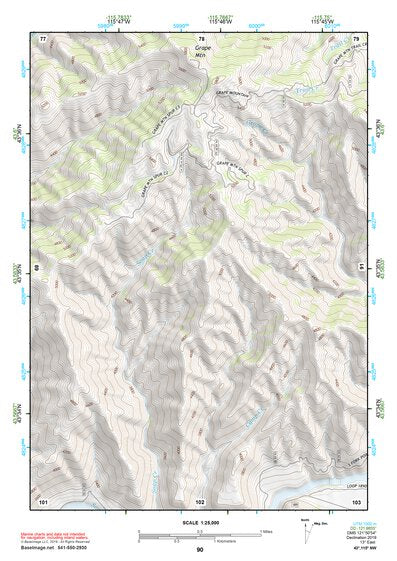 43115NW Page 90 Idaho City Topo Preview 1