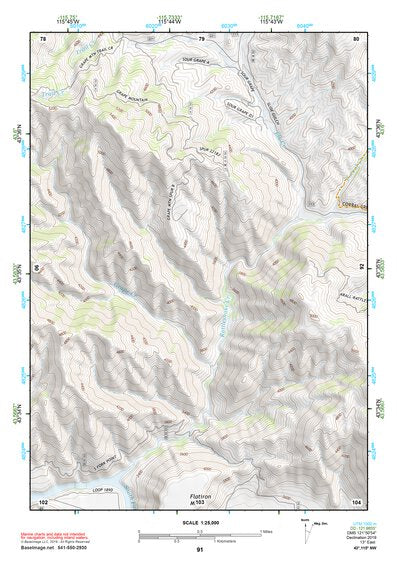 43115NW Page 91 Idaho City Topo Preview 1