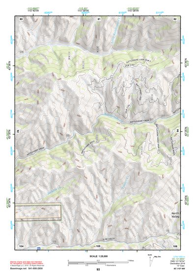 43115NW Page 93 Idaho City Topo Preview 1