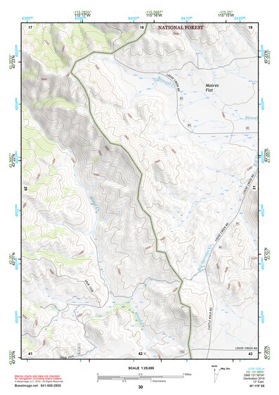 43115SE Page 30 Mountain Home Topo Preview 1