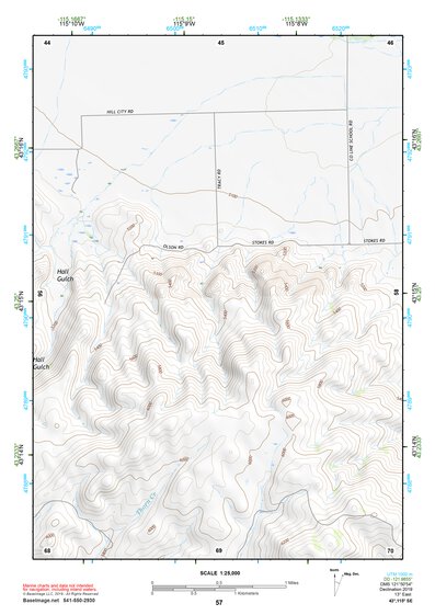 43115SE Page 57 Mountain Home Topo Preview 1