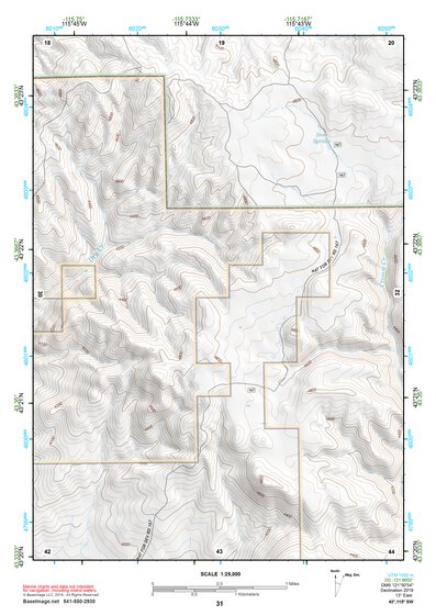 43115SW Page 31 Mountain Home Topo Preview 1