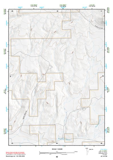 43115SW Page 42 Mountain Home Topo Preview 1