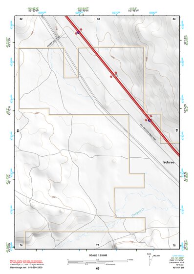 43115SW Page 65 Mountain Home Topo Preview 1