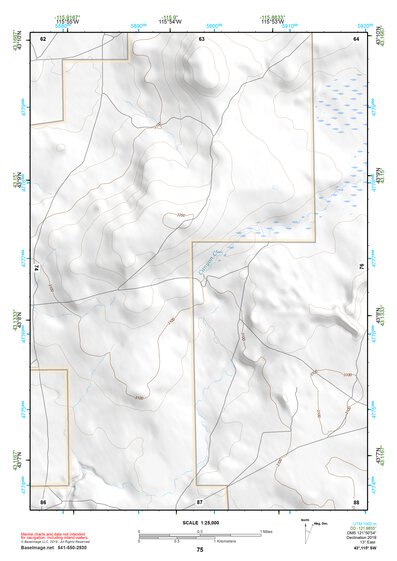 43115SW Page 75 Mountain Home Topo Preview 1