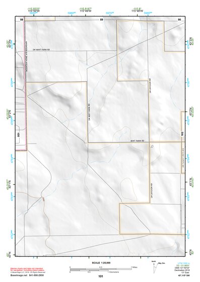 43115SW Page 101 Mountain Home Topo Preview 1