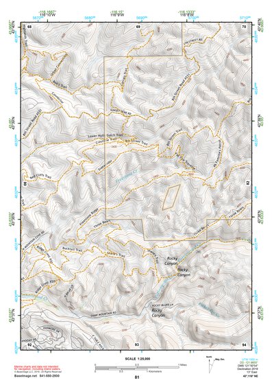 43116NE Page 81 Boise Topo Preview 1