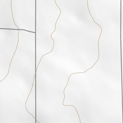 43116SE Page 53 Murphy Topo Preview 2