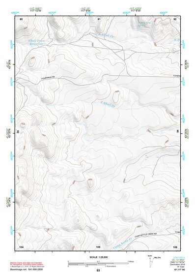 43117NE Page 93 Vale Topo Preview 1