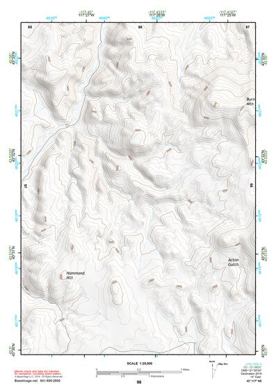 43117NE Page 98 Vale Topo Preview 1