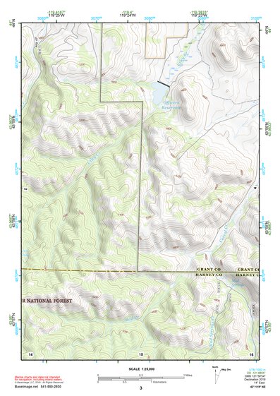 43119NE Page 3 Burns Topo Preview 1