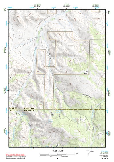 43119NE Page 4 Burns Topo Preview 1