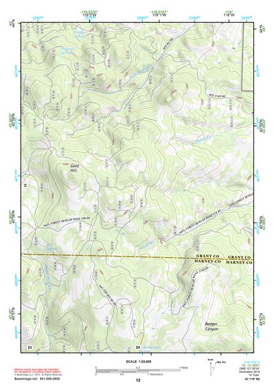 43119NE Page 12 Burns Topo Preview 1