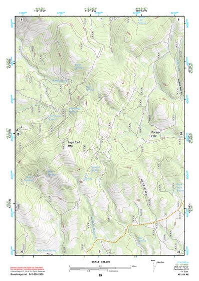 43119NE Page 19 Burns Topo Preview 1