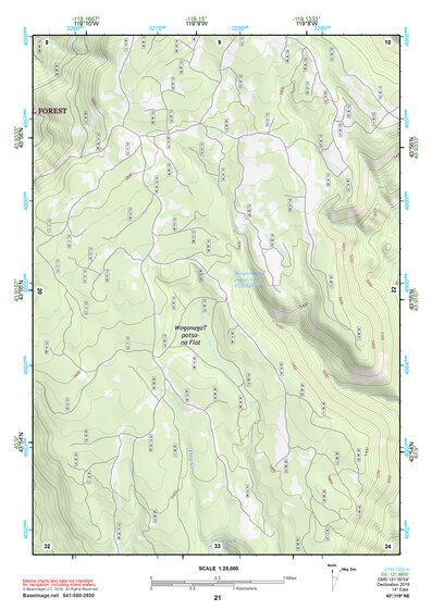 43119NE Page 21 Burns Topo Preview 1