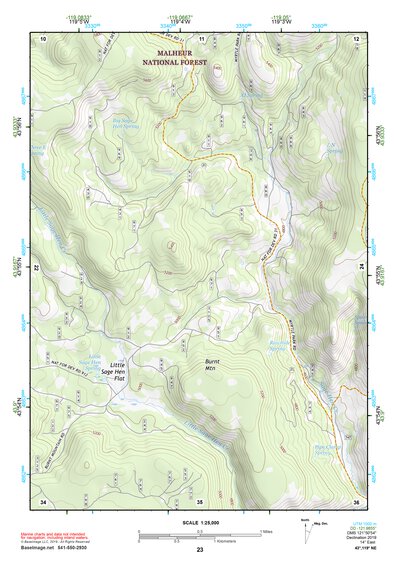 43119NE Page 23 Burns Topo Preview 1